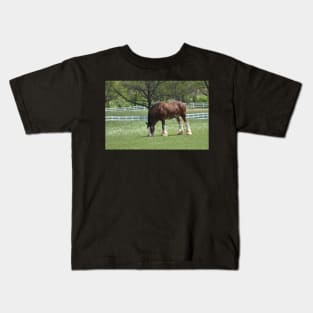 Clydesdale Kids T-Shirt